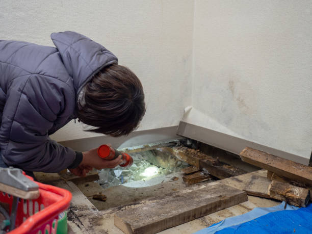 Best Indoor Air Quality Assessment  in Hampton, IL