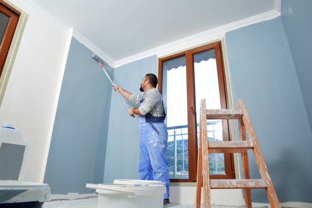 Best Asbestos and Lead Testing During Mold Inspection  in Hampton, IL