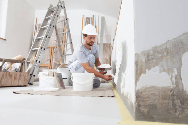Best Mold Odor Removal Services  in Hampton, IL