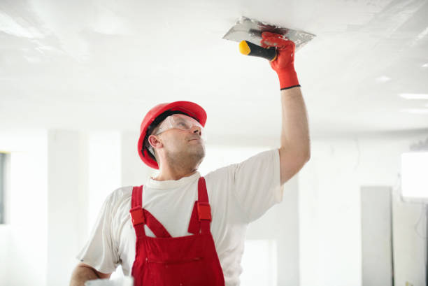 Hampton, IL Mold Removal Company