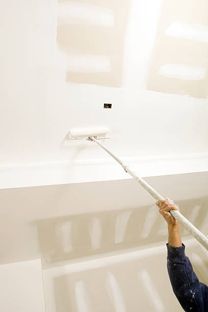 Best Mold Documentation for Insurance Claims  in Hampton, IL