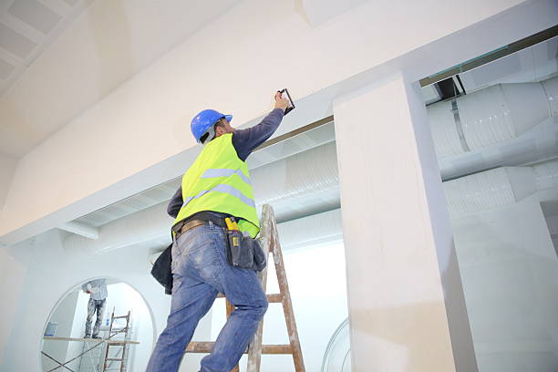 Best Commercial Mold Inspection  in Hampton, IL
