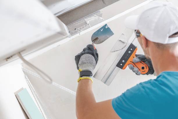 Best Mold Damage Restoration  in Hampton, IL
